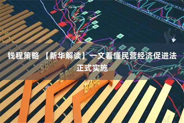 钱程策略 【新华解读】一文看懂民营经济促进法正式实施